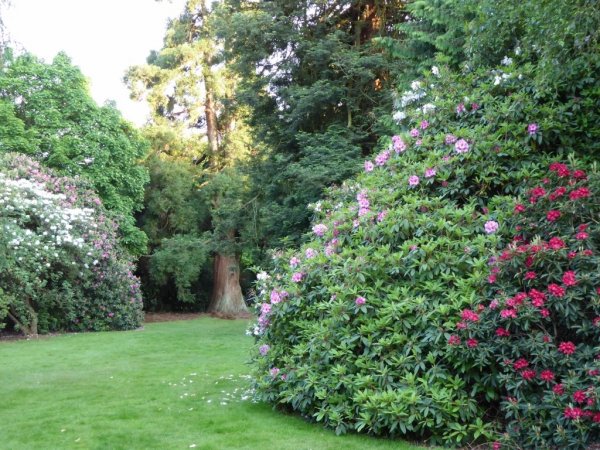 Valley Gardens14 (1024x768)