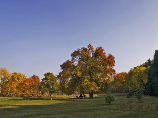 vackor_02_takacs_gabor