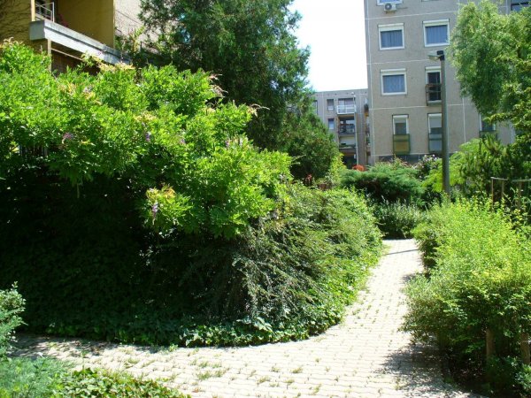 győztes kert9