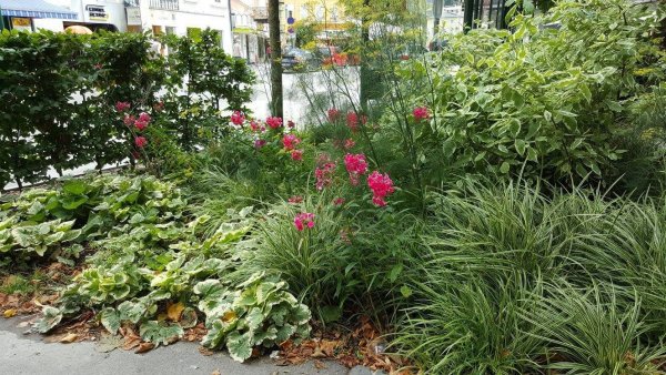 Bad Ischl11