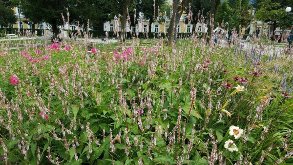 Bad Ischl14