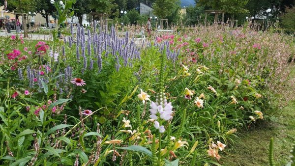 Bad Ischl15