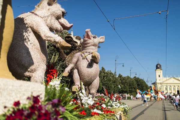 Debreceni Virágkarnevál12