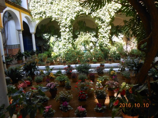 andaluzia_balkonjai5