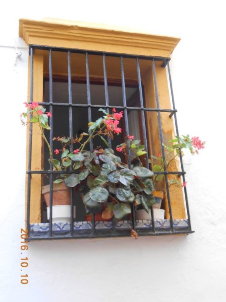 andaluzia_balkonjai8