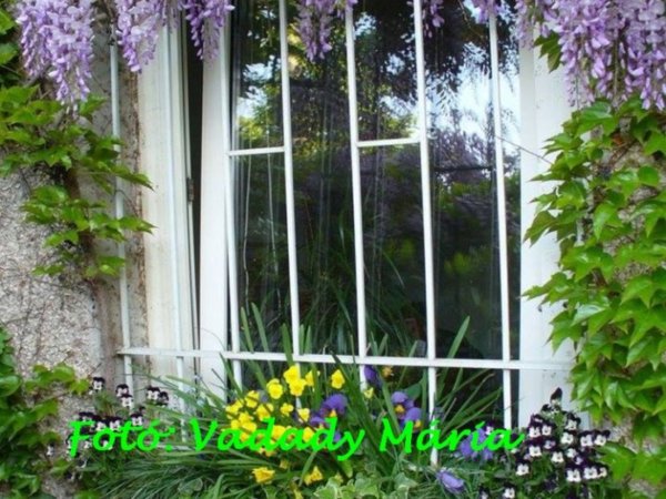 04_aprilis_vadady_maria_2