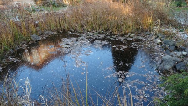 dermeszto_szepsegek_sinka_erika