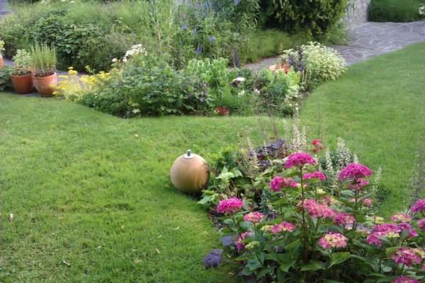 hortenzias_piheno17