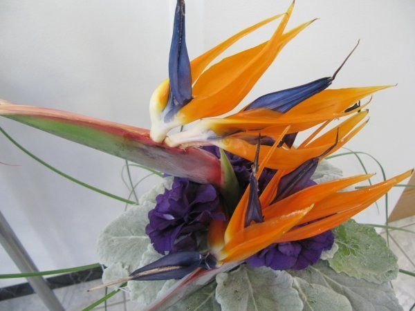 ballagás23 másolata