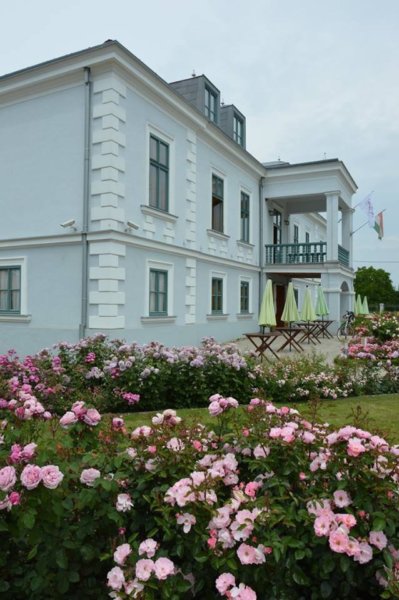 antik_rozsak_kertje6