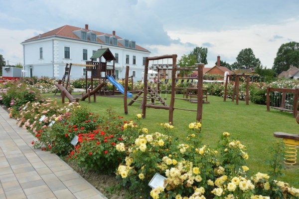 antik_rozsak_kertje7