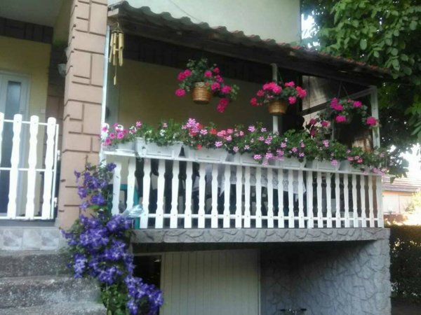balkon_mustra_pasztor_magdolna