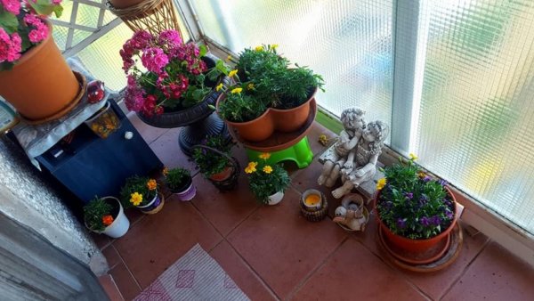 balkon_mustra_scholle_cserna_ildiko_katalin2