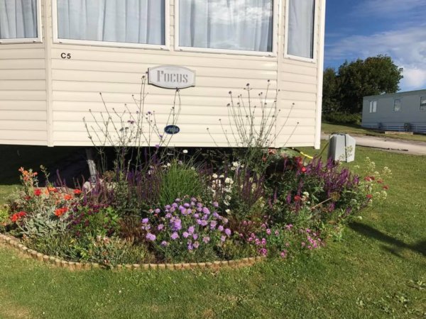 angliai_vadviragok12