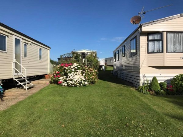 angliai_vadviragok14