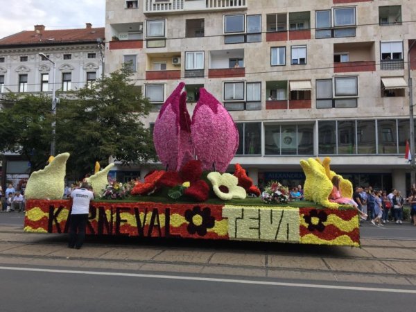 debreceni-viragkarneval-2017_1