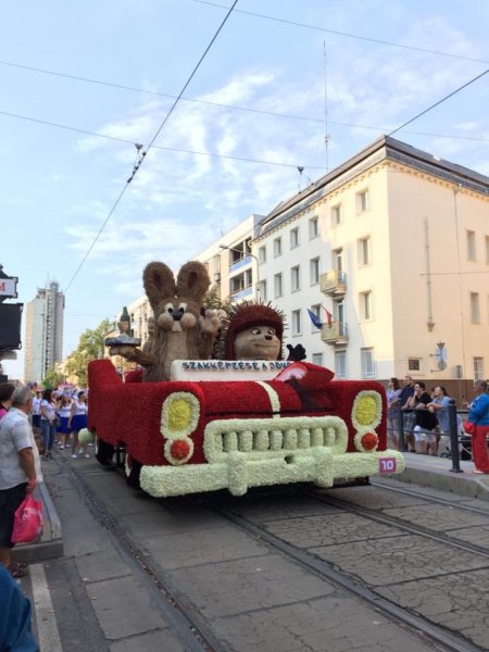 debreceni-viragkarneval-2017_14