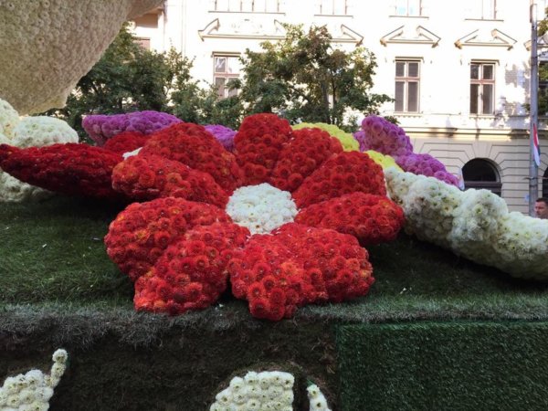 debreceni-viragkarneval-2017_15