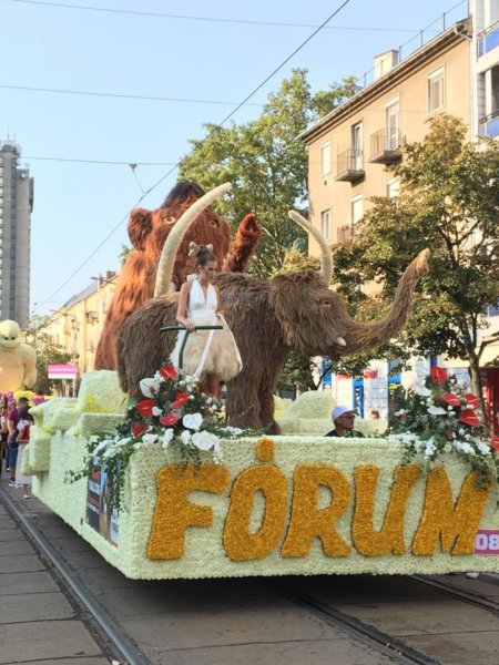 debreceni-viragkarneval-2017_21