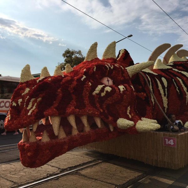 debreceni-viragkarneval-2017_5