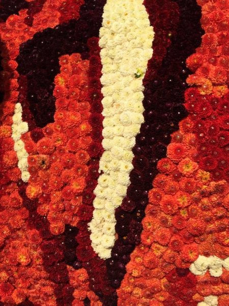 debreceni-viragkarneval-2017_6