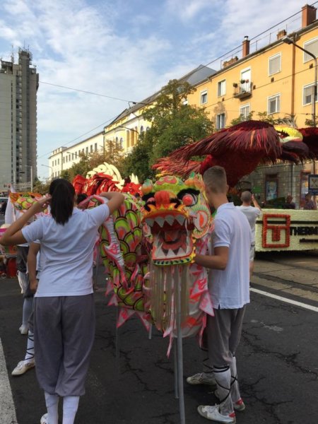 debreceni-viragkarneval-2017_9