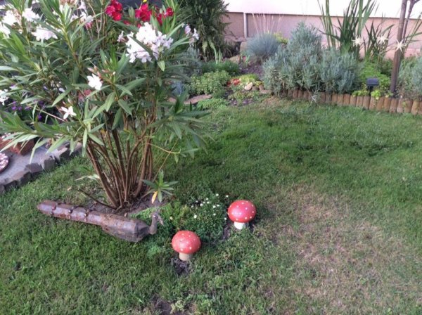 kerti_diszek_betonbol10