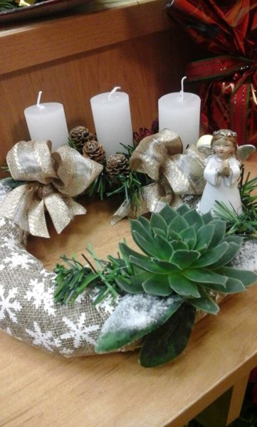 23843190_1953412298249406_7946177301133939866_n