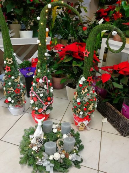 24171716_1928621424054322_115977726_n