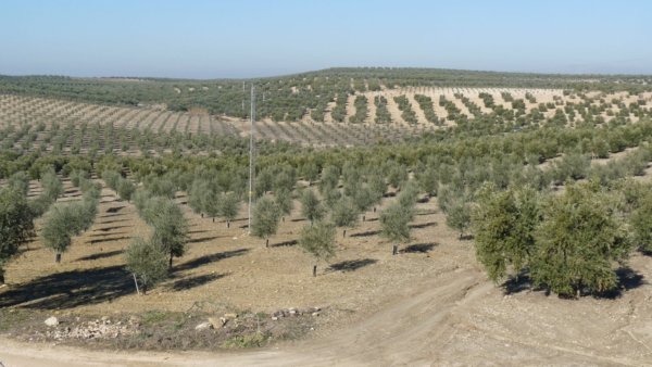 andaluzia-karacsony16