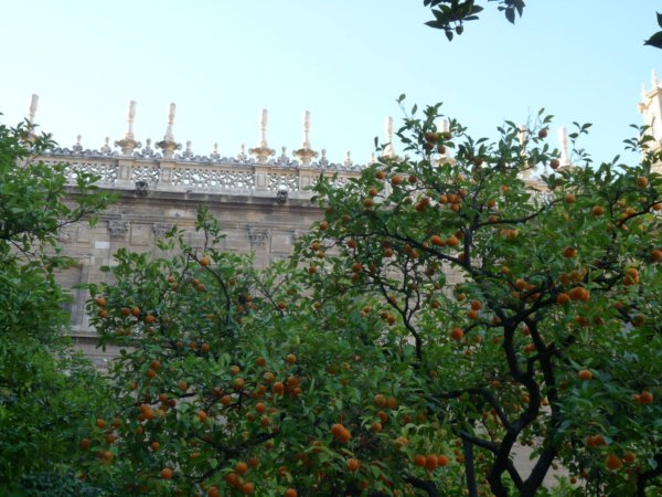 andaluzia-karacsony17