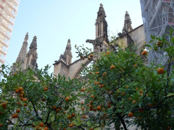 andaluzia-karacsony18