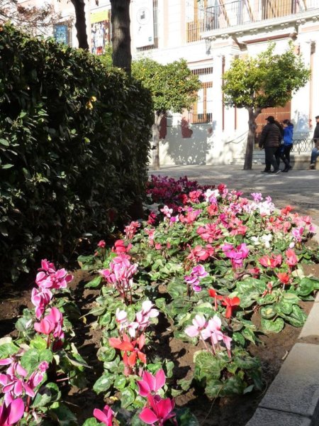 andaluzia-karacsony20