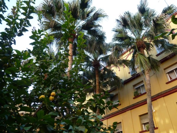 andaluzia-karacsony24