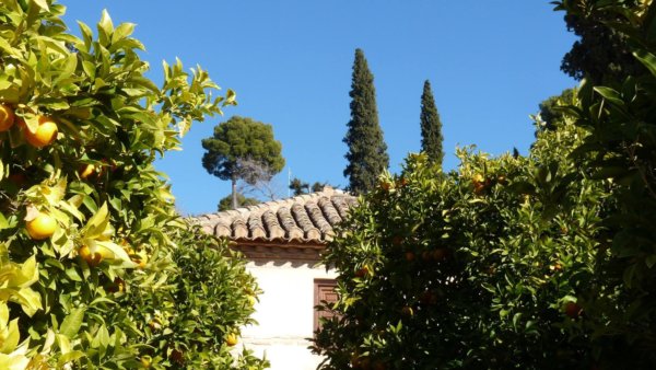 andaluzia-karacsony27