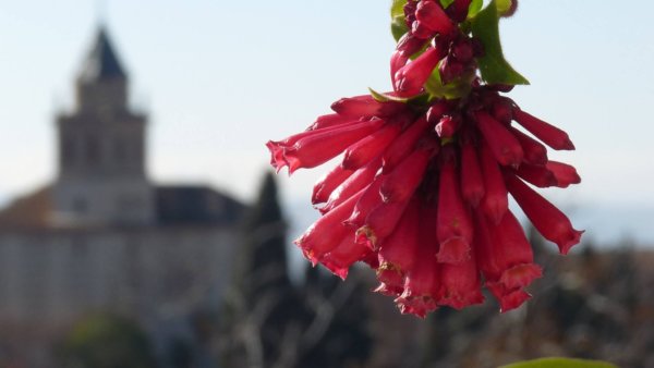 andaluzia-karacsony28