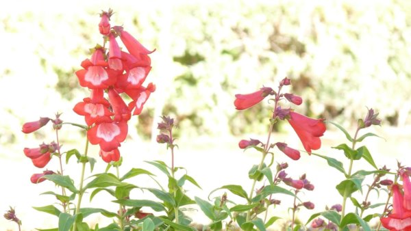 andaluzia-karacsony30