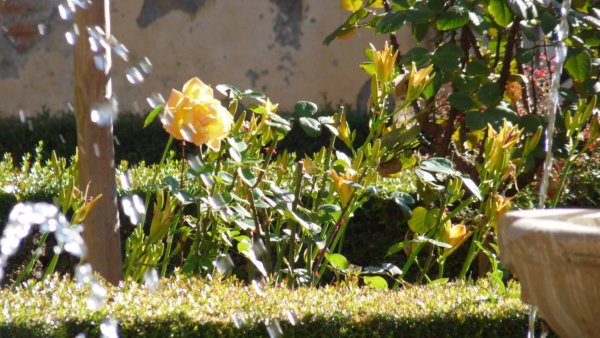 andaluzia-karacsony33