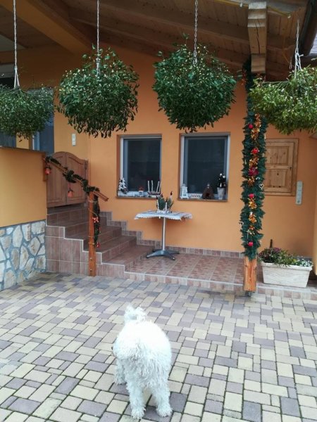 kerti-dekoracio-karacsony