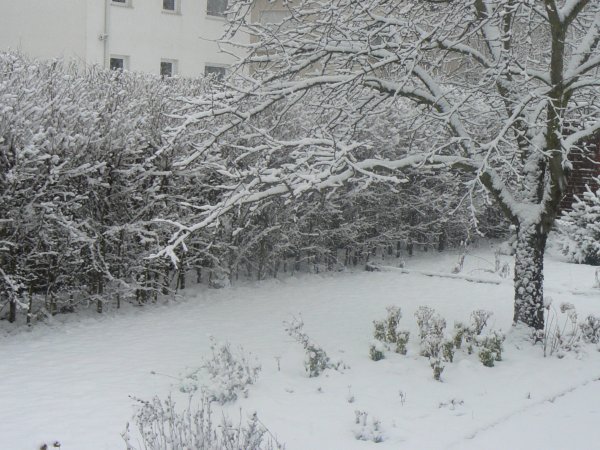 ho-taraba-zsuzsanna1