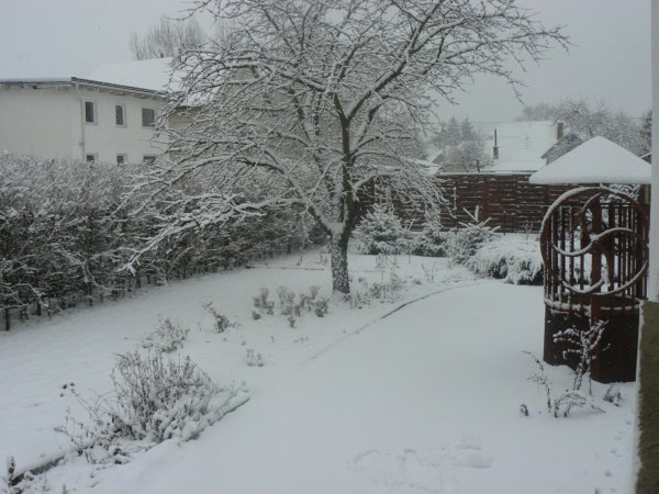 ho-taraba-zsuzsanna3