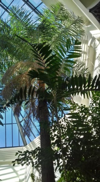 fuveszkert_februar19