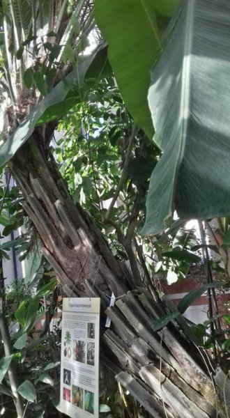 fuveszkert_februar20