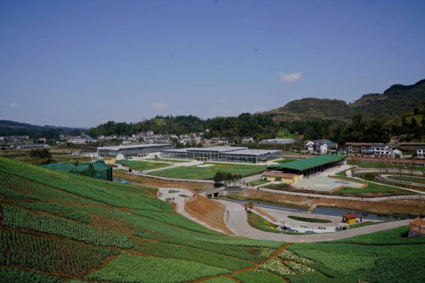 Holland virágos kert Kínában