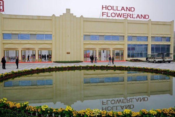 Holland virágos kert Kínában