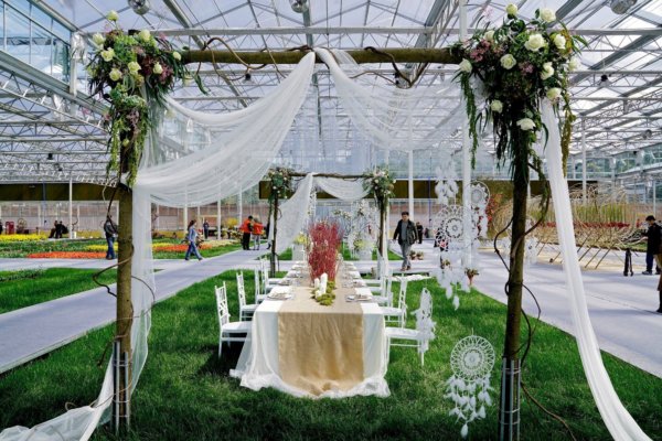 Holland virágos kert Kínában