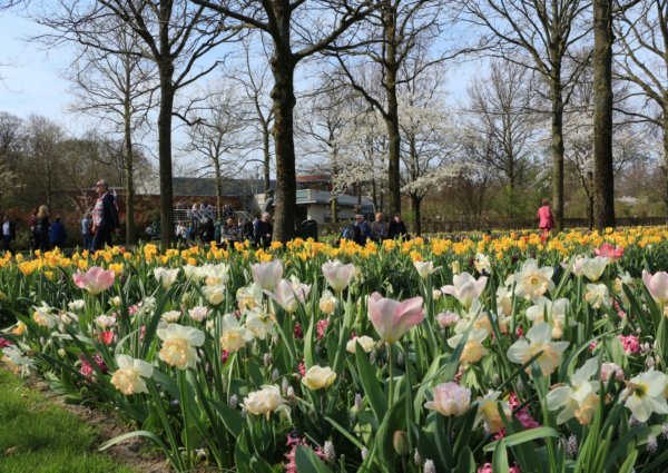Keukenhof18_0015