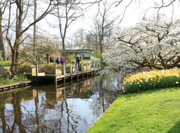 Keukenhof18_0058