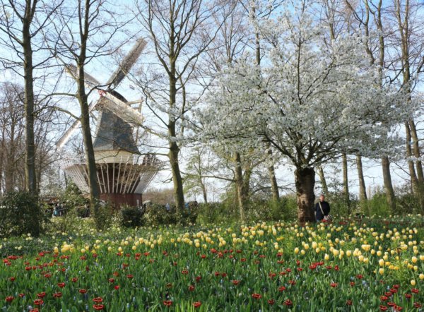Keukenhof18_0065