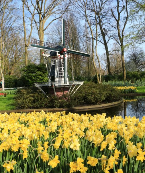 Keukenhof18_0155